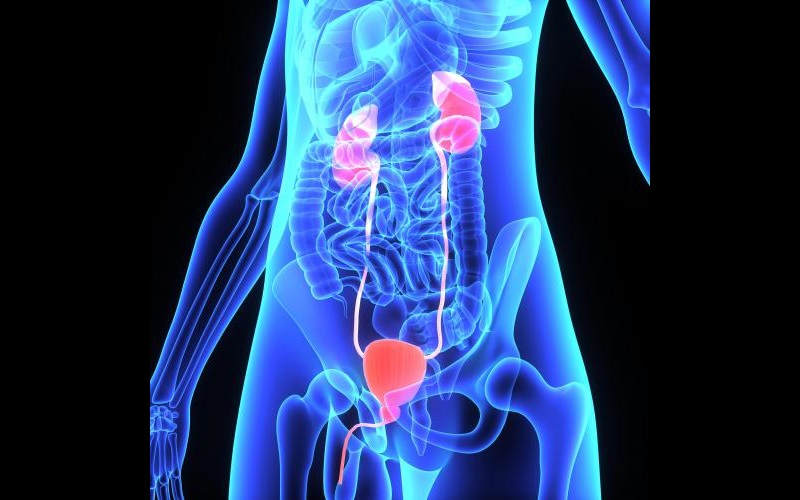 UROLOGY